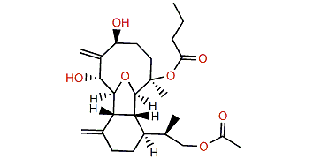 Krempfielin E